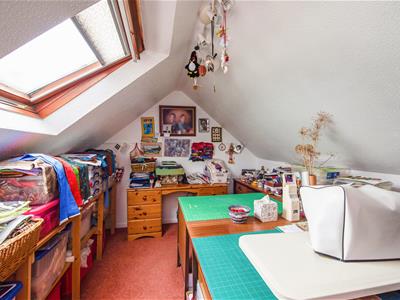 Picture 23